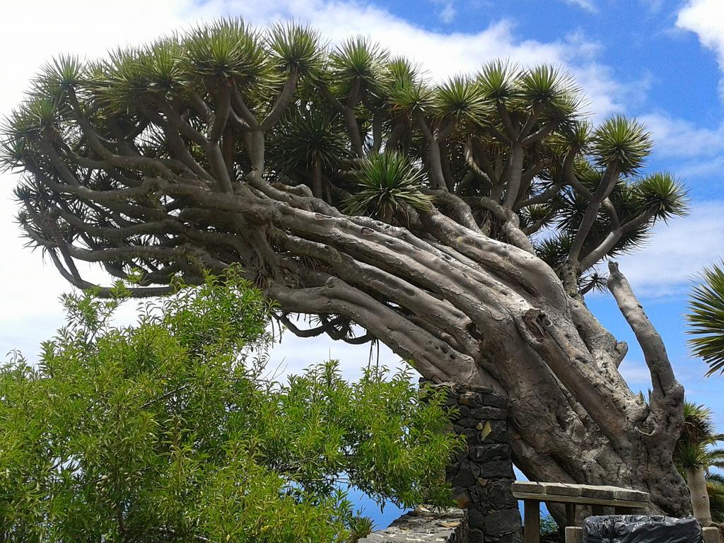 La Palmerita Vacacional Los Llanos De Aridane Buitenkant foto
